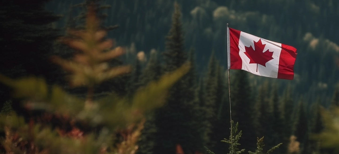 Canadian flag over a coniferous forest